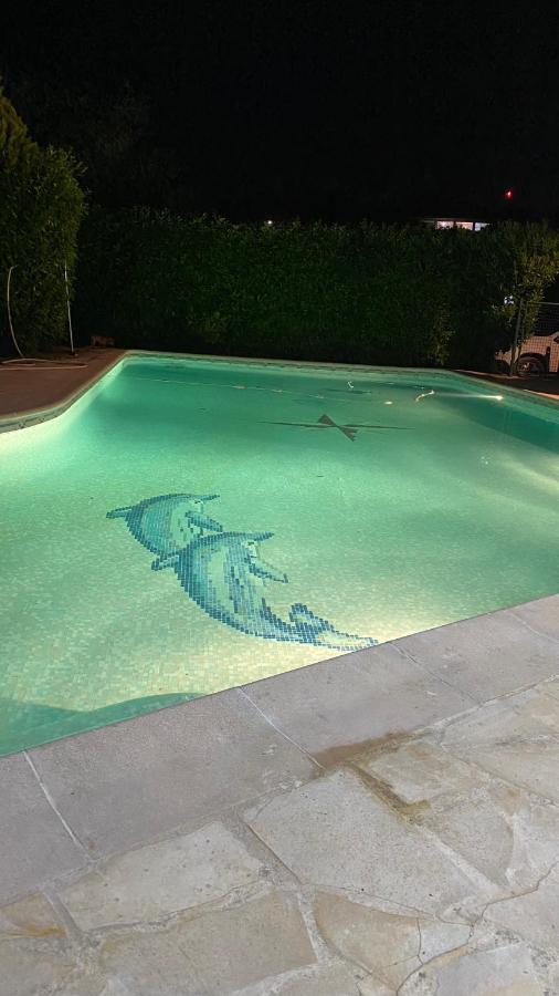 2 Pièces Rdc Piscine Appartamento